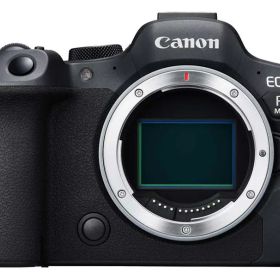 キヤノン EOS R6 Mark II ボディ RFマウント 4K 動画 フルサイズ 6K 2420万画素 DIGIC X キヤノン
