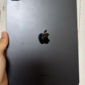 iPad Pro 11インチ m4 5世代 最終値下げ