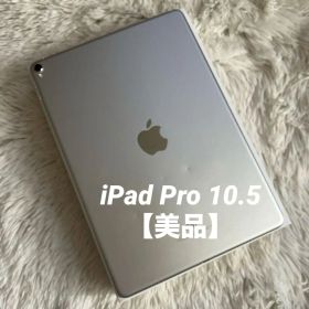 【完動品】iPad Pro 10.5インチ 256GB 【すぐ発送】【付属品】