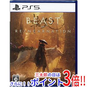 【新品】送料無料 Beast of Reincarnation(ビースト・オブ・リンカネーション) PS5【ゆうパケット対応】