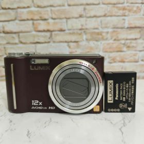【良好品】Panasonic LUMIX DMC-TZ7 動作品 バッテリー