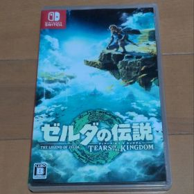 ゼルダの伝説 ティアーズ オブ ザ キングダム