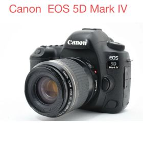 Canon EOS 5D Mark IV / Canon EF 80-200mm