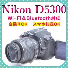 Nikon D5300✨一眼レフ✨初心者おすすめ✨レンズキット✨Wi-Fi対応
