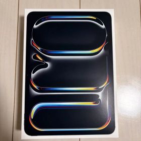 iPad Pro M4 11インチ Apple care加入済み