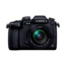 中古 １年保証 美品 Panasonic LUMIX GH5 標準ズームレンズキット [DC-GH5M-K]